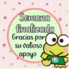 Semana finalizada Gracias por su valioso apoyo 100 de
