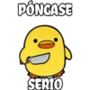 pollo tóxico 24