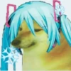 mikudoge and friends 2 7