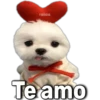 Fabiola
Te amo