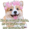 Fabiola
No es coca ni fanta,
es tu carita que
me encanta <3