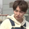 kpop 16