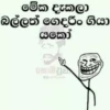 මේක දැකලා බල්ලත් ගෙදරිං ගියා යකෝ