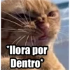 variados 22