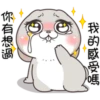 我的感受嗎
你有想過