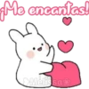 Bunny 2  (Melissa) 19