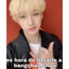Straykids memes 2 22