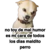 Memitos 36 clásicos 25