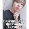 Straykids memes 2 24