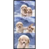 Mēdîtäcïºn ėxprės 23