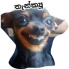 තැ