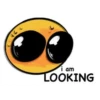 i am
LOOKING