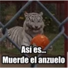 variados 26