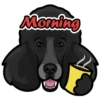 Morning