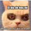 variados 27