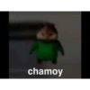 chamoy