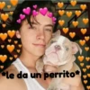 *le da un perrito*