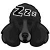 ZZZ
N