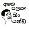 දිනෙ පලණීම © යන්ඞ්