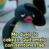 Persy
Me duele la
cabeza. Quitamelo
con sentones, bb