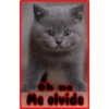 Oh no
Me olvide