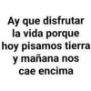 frases que matan 5
