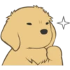 Golden Retriever Puppy 5
