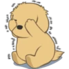 Golden Retriever Puppy 6