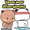 Gato melocotón 6