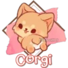 Eli&Javi(JD)
Corgi