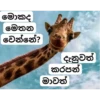 මොකද
මෙතන
වෙන්නේ?
Chezza
දැනුවත්
කරපන්
මාවත්