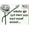 THE
සලාදේ
මෙන්න මූව
ලැට් එකට දාලා
දොර ලොක්
කරපන්...