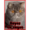 Rayos
La cague