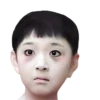 Memes 7