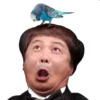 Memes 8