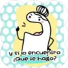 Mamá Flork 8