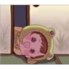 Hat of a Frog 10