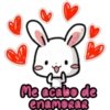 bear and rabbit in love 7