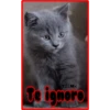 ΤΔΣΜ<
Te ignoro