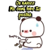 Gato melocotón 11