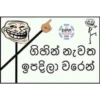 1999 ගිහින් නැවත ඉපදිලා වරෙන්