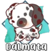 EISJavi(UD)
Dálmata
