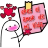 flork enamorado ᥫ᭡ 13