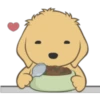 Golden Retriever Puppy 12