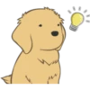 Golden Retriever Puppy 13