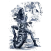 Girl Biker 19