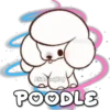 Sirduy
Eli&Javi(JD)
POODLE
