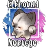 Elkhound
Eli&Javi (JD)
Noruego