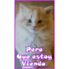 Pero
Que estoy
Viendo