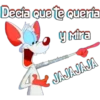 PINKY & CEREBRO 9